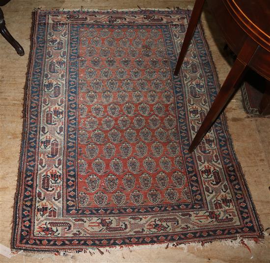 Bokhara rug(-)